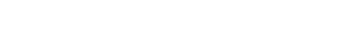 Thunderbird Services logo