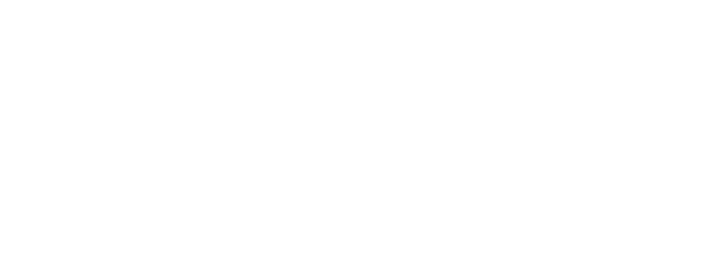 Thunderbird Services logo